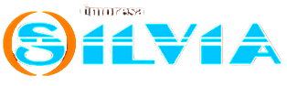 Sponsor 2