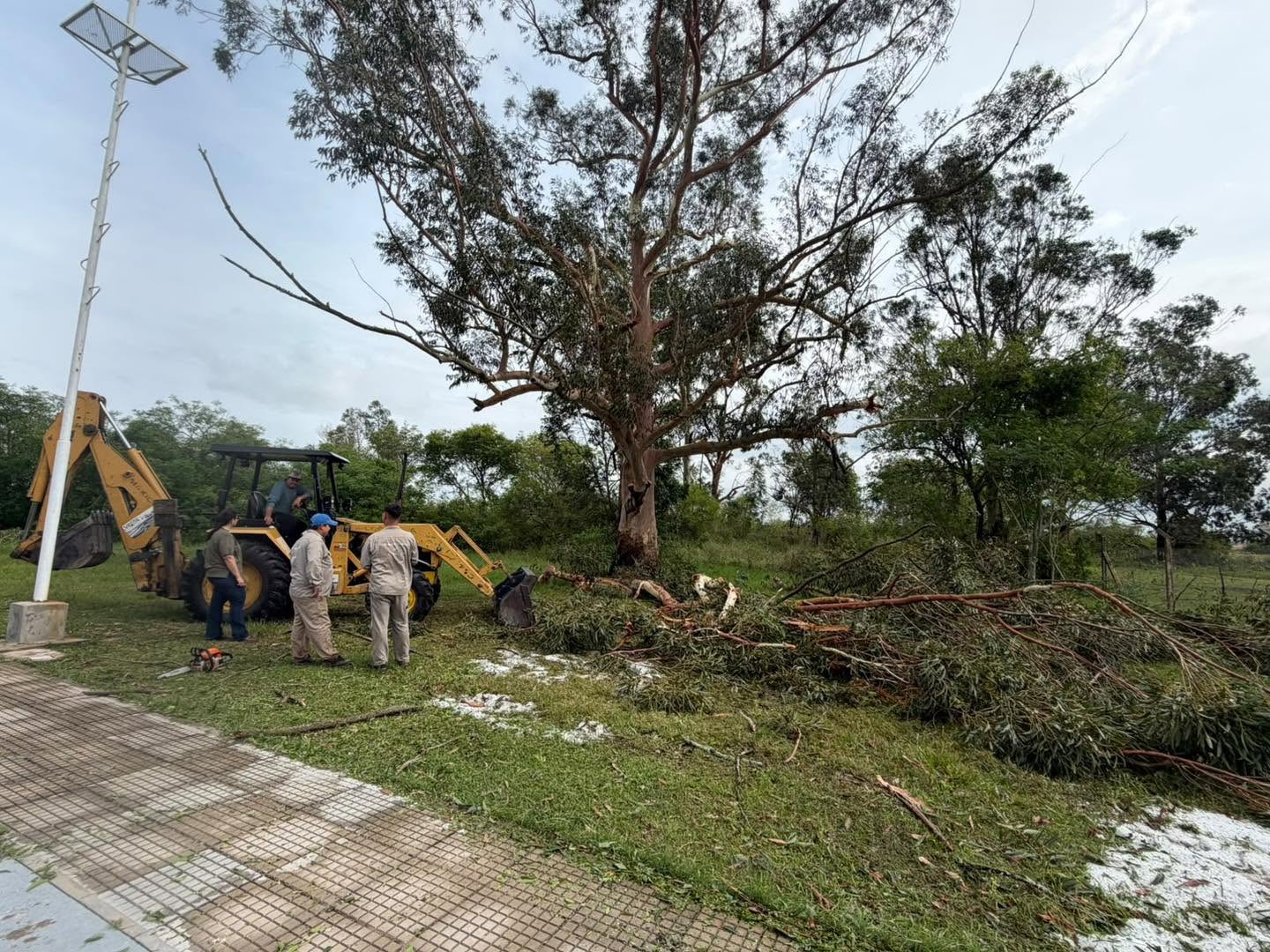 Obras en Avenida San Martín